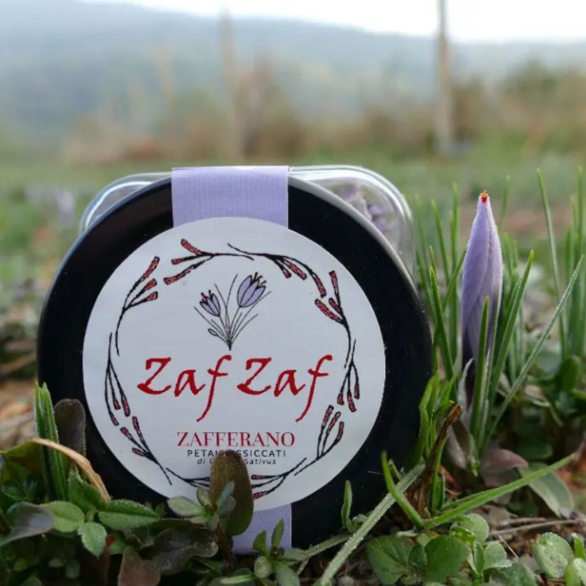 ZafZaf%20Zafferano